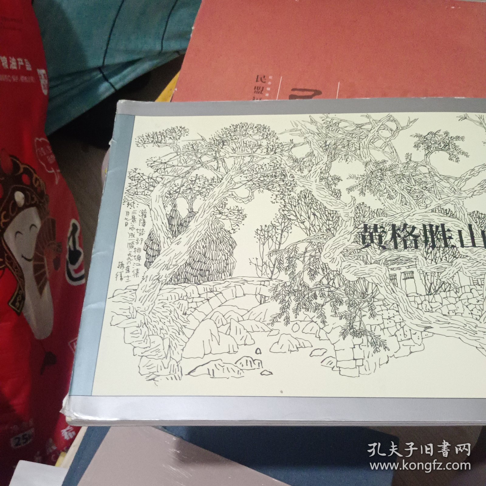 黄格胜山水线描集