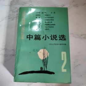 1982中篇小说选(第二辑)