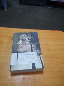 英文原版 The Bronte Sisters Penguin Classics Deluxe Edition 勃朗特姐妹 三部小说