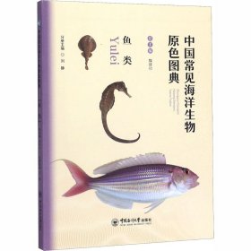 保正版！中国常见海洋生物原色图典 鱼类9787567017702中国海洋大学出版社魏建功,刘静 编