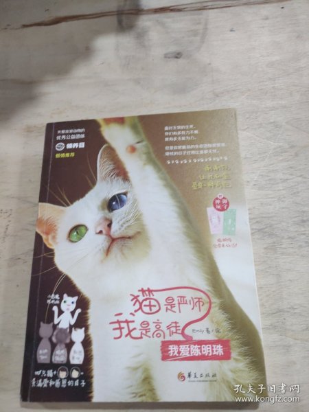 猫是严师，我是高徒