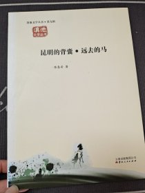 昆明的背囊·远去的马