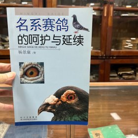 名系赛鸽的呵护与延续