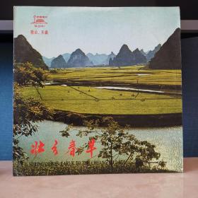 壮乡春早   黑胶唱片