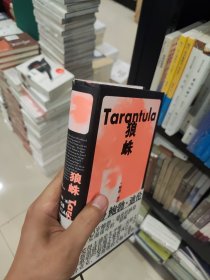 狼蛛（诺奖得主鲍勃·迪伦生平唯一实验文本）