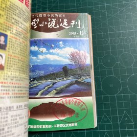 微型小说选刊2005.1-3.5-12（11册合售）