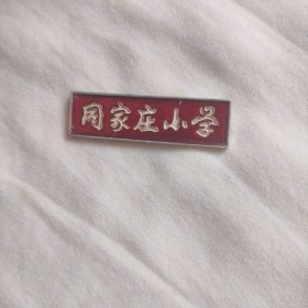 同家庄小学（陕西大荔）