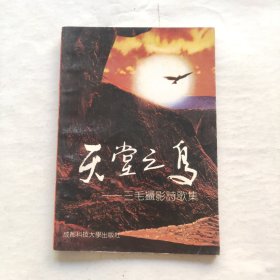 天堂之鸟 三毛摄影诗歌集