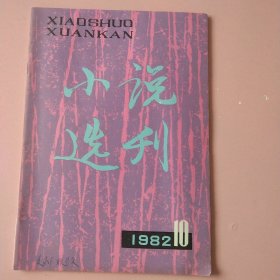 小说选刊