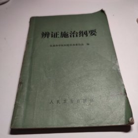 辨证施治纲要