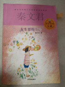 贾里贾梅大系：女生贾梅全传