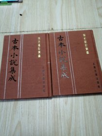 古本小说集成 樵史通俗演义（上下册）馆藏书未借阅 实物如图