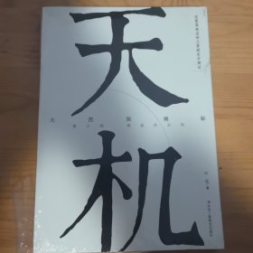天机：大西国揭秘·第三部：崛起的文明