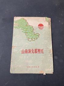 山南海北都照红