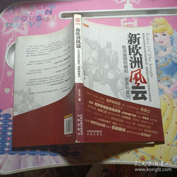 欧洲新战场全传：新欧洲风云（欧洲诸国的崛起、衰落和复兴）