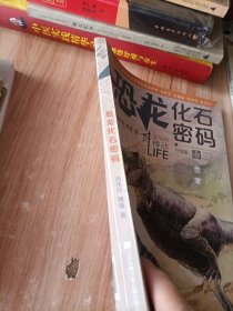 恐龙化石密码