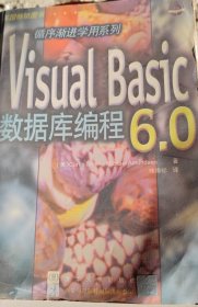 Visual Basic 6.0 数据库编程
