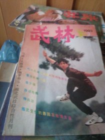 武林 3