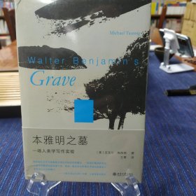 本雅明之墓：一场人类学写作实验 迈克尔·陶西格带您聆听微妙之处，奇事不再遥远