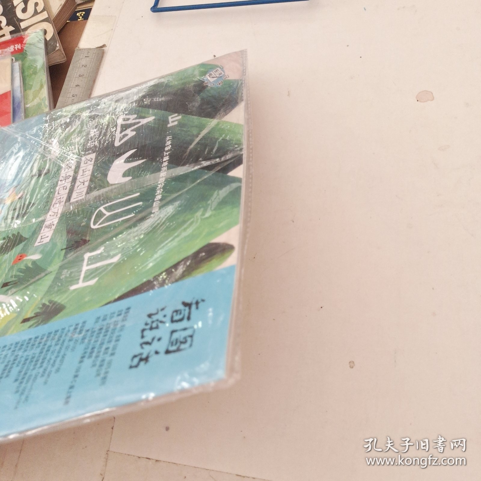 中国第一本全彩幼儿画刊 看图说话 2020.11