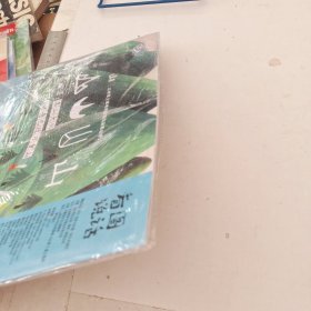 中国第一本全彩幼儿画刊 看图说话 2020.11