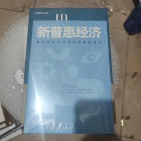 新普惠经济数字技术如何推动普惠性增长罗汉堂著中信出版社图书