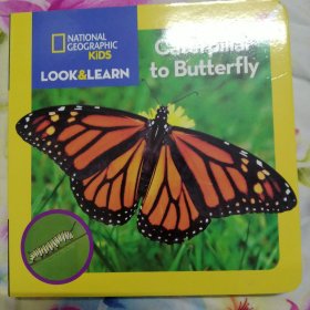 National Geographic Kids Look and Learn: Caterpi