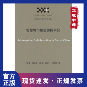 智慧城市信息协同研究 9787501374373