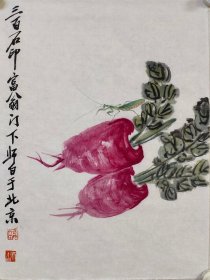 娄师白花卉草虫小品一幅，34/45厘米