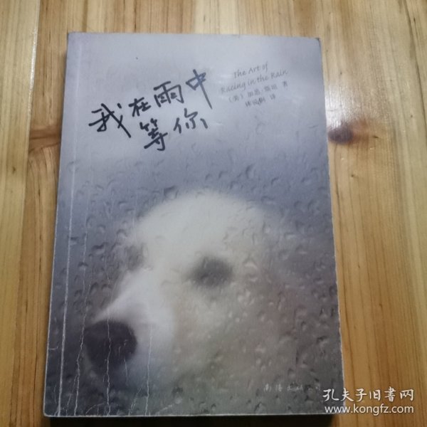 我在雨中等你