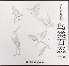 实用白描画稿：鸟类百态