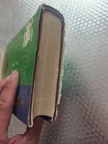 高中文言文赏析辞典