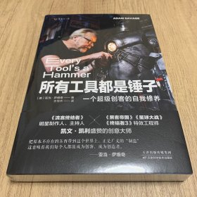 所有工具都是锤子：一个超级创客的自我修养（《流言终结者》制作人、主持人创意工作手册）