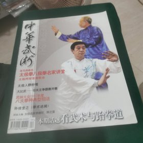 中华武术 2008.4