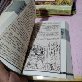 红楼梦图咏 （上中）（经典珍藏图文版）