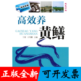 高效养黄鳝
