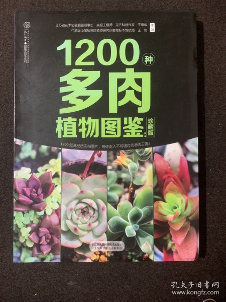 1200种多肉植物图鉴：珍藏版（汉竹）