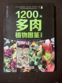 1200种多肉植物图鉴：珍藏版（汉竹）