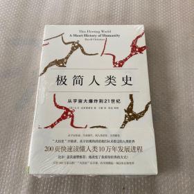 极简人类史：从宇宙大爆炸到21世纪【未开封】