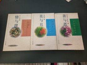 人生价值丛书：美与丑、善于恶、情与理（3本合售）