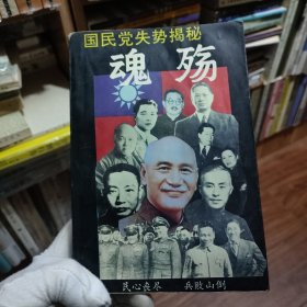 魂殇一国民党失势揭秘