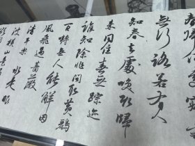 当代知名女青年书法家、画家，中国书法家协会会员, 梅丽君 尺寸186/33厘米 7