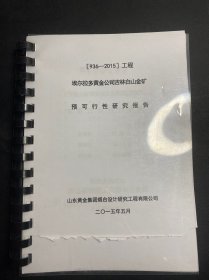 埃尔拉多黄金公司吉林白山金矿 预可行性研究报告