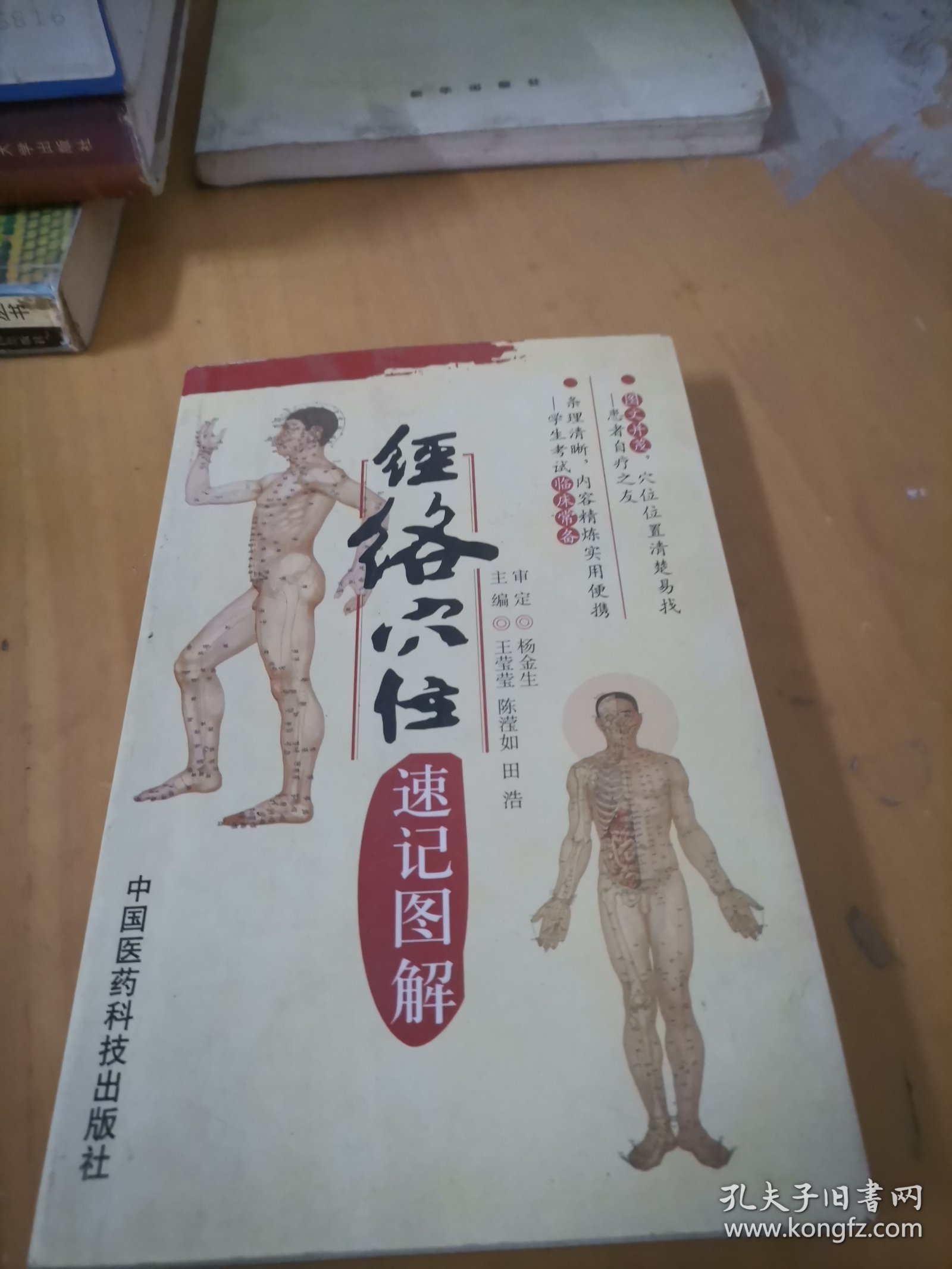 经络穴位速记图解