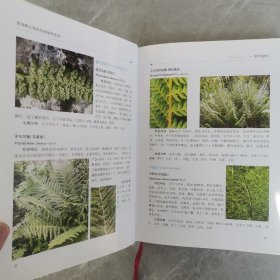 青海野生观赏地被植物图鉴（全一册精装本）〈2013年青海初版发行〉