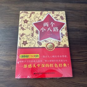 无障碍阅读丛书：红色经典特辑-两个小八路