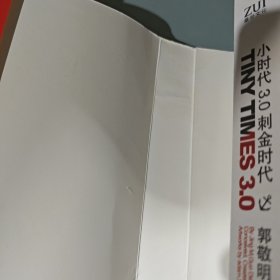 小时代3.0：刺金时代