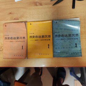 历史在这里沉思 1966 1976年记实一二三