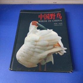 中国野鸟