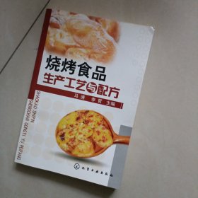 烧烤食品生产工艺与配方